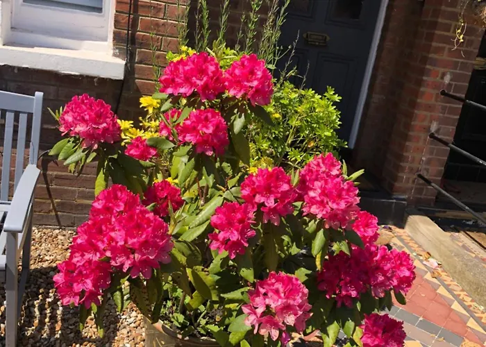 Carena House Bed & Breakfast Canterbury